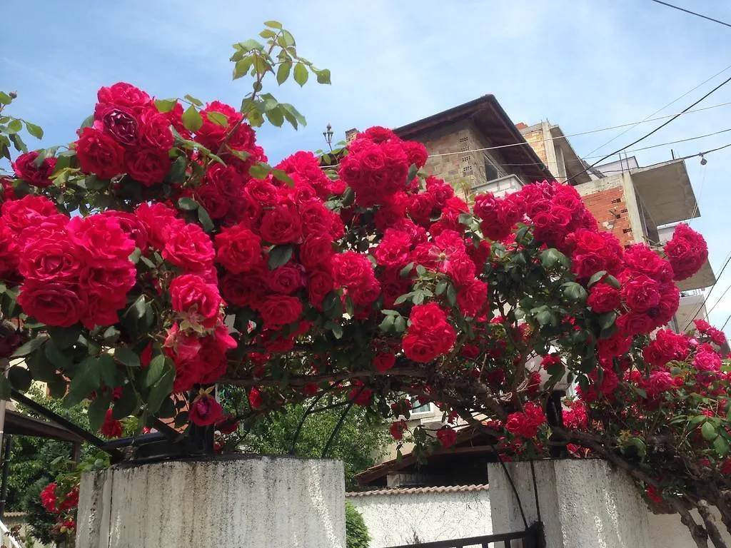 Apartment Morskoi Gnom Burgas